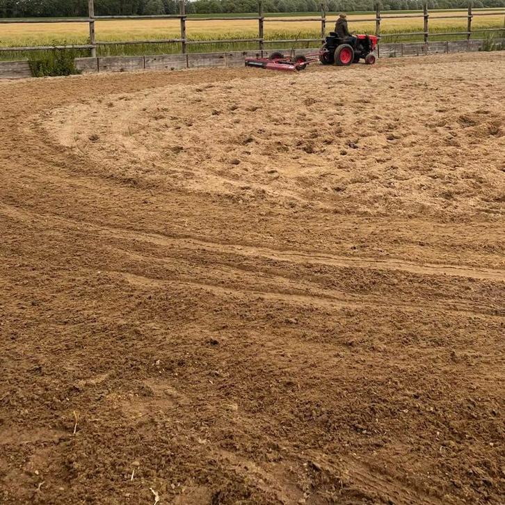 Speelse ruin gezocht!, Dieren en Toebehoren, Stalling en Weidegang