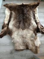 Echt elandvel uit Zweden - perfect voor de openhaard, 100 tot 150 cm, Crème, Nieuw, Scandinavisch