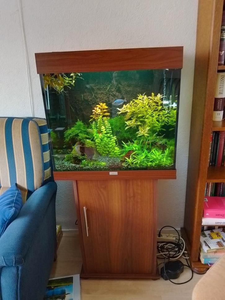 Aquarium met toebehoren, Dieren en Toebehoren, Vissen | Aquaria en Toebehoren, Gebruikt, Gevuld zoetwateraquarium, Ophalen