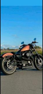 Mooie Harley Sportster 883 te koop, Particulier, Chopper