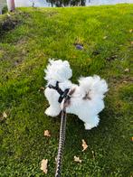 Anny-x y-tuig - gevoerd, maat xs, Ophalen of Verzenden, Zo goed als nieuw