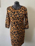 Leuke Print Jurk van Dazzling maat L nieuw, Kleding | Dames, Jurken, Ophalen of Verzenden, Nieuw, Maat 38/40 (M)