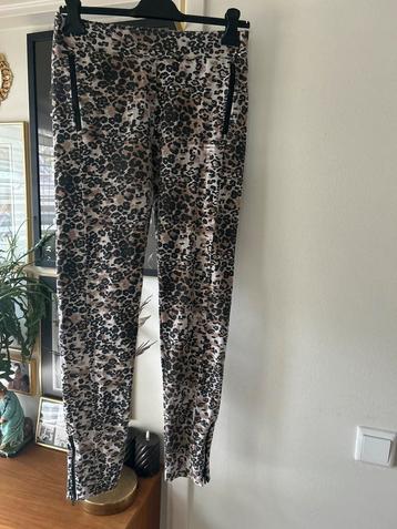 Tijgerprint leopard Jogger - Maat 3(xl) beschikbaar voor biedingen