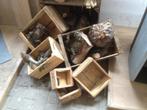 6-delige coffee kisten set , koffie kisten , veilingkisten, Huis en Inrichting, Ophalen of Verzenden, Nieuw