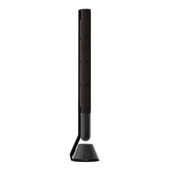 Beolab 28 Black Antracite with Dark Oak Covers Nieuw staat, Audio, Tv en Foto, Luidsprekers, Zo goed als nieuw, Front, Rear of Stereo speakers