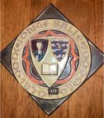 Tegel Jonge Balie 1870 1970 Advocaat Jonge Advocaten, Verzenden