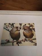 GROENLING. 1984, Ophalen of Verzenden, 1980 tot heden, Natuur