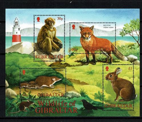 gibraltar 2002 pf blok wildlife vuurtoren zoogdieren, Postzegels en Munten, Postzegels | Thematische zegels, Postfris, Dier of Natuur