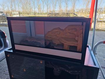 Terrarium 80x40x40 met 3dwand  beschikbaar voor biedingen