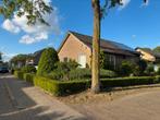 Taxushaag ca. 30 meter, ca 40 cm hoog, Tuin en Terras, Ophalen