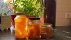 Kombucha scoby biologisch, Diversen, Levensmiddelen, Ophalen