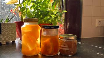 Kombucha scoby biologisch beschikbaar voor biedingen