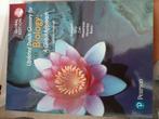 Update durch glossery for biologische a global approach, Ophalen of Verzenden, Campbell, Beta, WO
