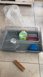 Hamster hok, Gebruikt, Minder dan 75 cm, Ophalen, Minder dan 60 cm