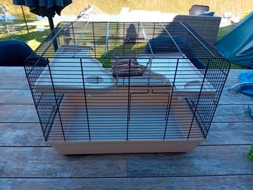 Compleet hamsterkooi beschikbaar voor biedingen