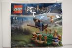 Lego Harry Potter Zwerbal Training polybag 30651 NIEUW, Ophalen of Verzenden, Nieuw, Complete set, Lego