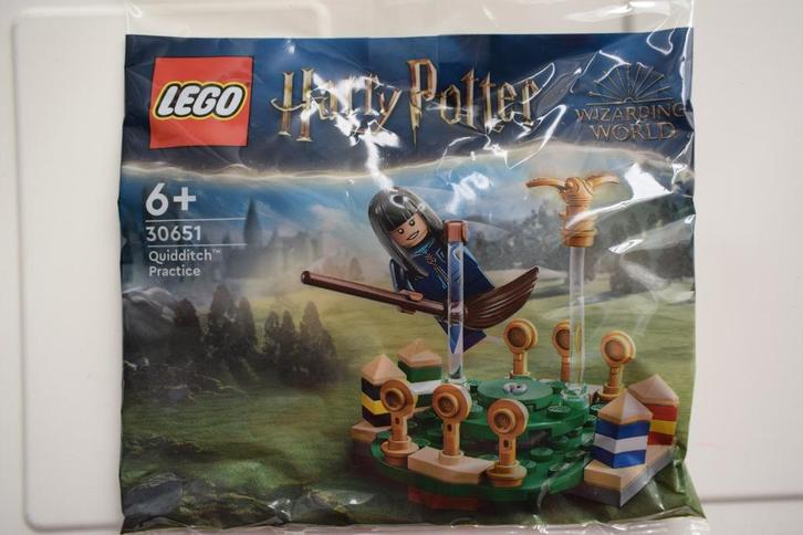 Lego Harry Potter Zwerbal Training polybag 30651 NIEUW, Kinderen en Baby's, Speelgoed | Duplo en Lego, Nieuw, Lego, Complete set