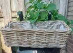 Balkonmand rotan L45 Tuinmand rieten mand haken Nieuw, Minder dan 30 cm, Minder dan 60 cm, Nieuw, Ophalen of Verzenden