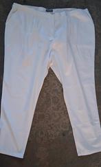 Extra grote werkbroek dames maat 62, 64, 66 en 72, Ophalen, Nieuw, Wit, Broek of Spijkerbroek