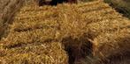 Kleine balen stro, Dieren en Toebehoren, Februari, Mannelijk