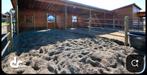 Gezocht: uitloopstal / schuilstal / paddockstal paard, Dieren en Toebehoren, Stalling, 2 of 3 paarden of pony's