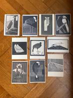 Samuel Jessurun de Mesquita deel 1 – 10 wandkunstkaarten A6, Info@olphy.nl, Ophalen of Verzenden, Nvt, Nieuw