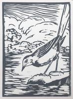 Mooie, betaalbare kunst v/h Grafiekkabinet Witte Kwikstaart, Ophalen of Verzenden