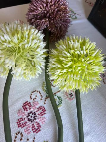 3 uien bloemen beschikbaar voor biedingen