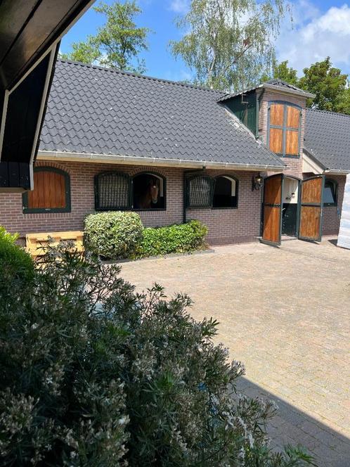 Vakantie- en/of trainingsplekken beschikbaar (Overijssel), Dieren en Toebehoren, Stalling en Weidegang, Stalling, Weidegang, 2 of 3 paarden of pony's