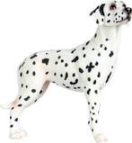 Beeldje Hondenbeeldje Dalmatiër - My Best Friend 900824, Verzamelen, Beelden en Beeldjes, Ophalen of Verzenden, Nieuw, Dier