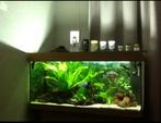 Aquarium Juwel Rio 180, Ophalen, Gebruikt, Leeg aquarium