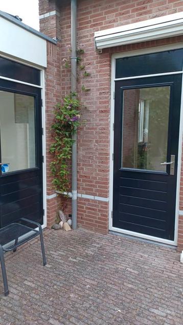 2 hardhouten deuren met dubbelglas beschikbaar voor biedingen