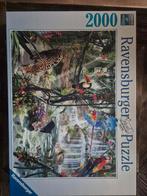 Puzzel Ravensburger, Ophalen, Meer dan 1500 stukjes, Zo goed als nieuw