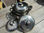 Pannenset RVS voor camping of thuis, Ophalen of Verzenden, Gebruikt
