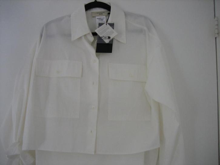 Max Mara weekend nieuwe blouse 34/36, Kleding | Dames, Blouses en Tunieken, Nieuw, Maat 34 (XS) of kleiner, Bruin, Ophalen of Verzenden