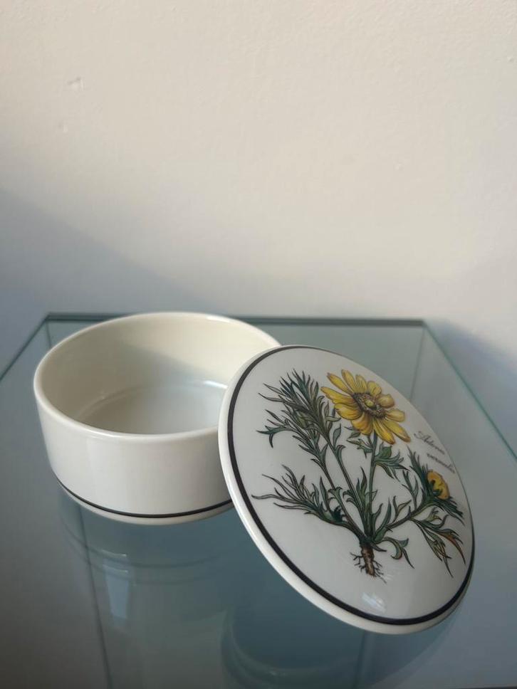 Villeroy en Boch Botanica doosje, Huis en Inrichting, Woonaccessoires | Onderzetters, Zo goed als nieuw, Glas of Kopje, Ophalen of Verzenden