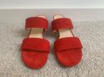 Paul Green, pumps rood 42,5 (nieuw), Kleding | Dames, Schoenen, Nieuw, Paul Green, Rood, Sandalen of Muiltjes