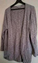 Gevlamd vest M&S Mode - Maat L, Ophalen, Maat 42/44 (L), Zo goed als nieuw, M&S Mode