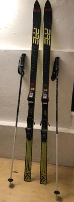 Ski s, Ophalen, 160 tot 180 cm, Gebruikt, Salomon