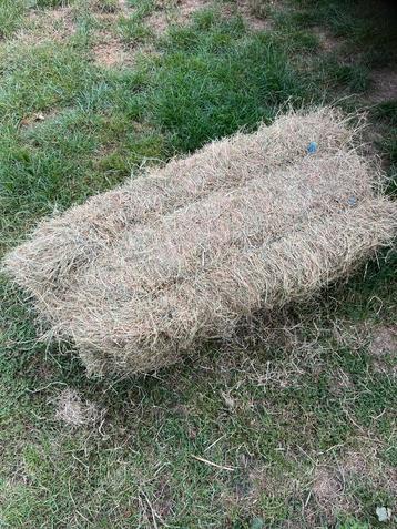 Te koop stevige kleine pakjes grof hooi beschikbaar voor biedingen