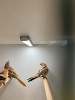 baardmannetjes, Meerdere dieren, Kleurkanarie