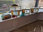 Playmobil Strandhotel 70434, Kinderen en Baby's, Speelgoed | Playmobil, Ophalen of Verzenden, Zo goed als nieuw
