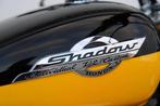 Honda Chopper VT 600C Shadow Individual V-2 Custom NL motor, Info@autocarrion.nl, 583 cc, Chopper, Bedrijf