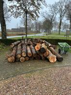 (Deel)vrachten: Brandhout Stamhout Kachelhout Boomstammen., Tuin en Terras, Haardhout, 6 m³ of meer, Ophalen, Stammen
