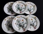 Villeroy & Boch Botanica Bord 24cm, Huis en Inrichting, Keuken | Servies, Gebruikt, Ophalen of Verzenden, Bord(en), Overige stijlen