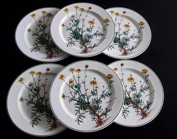 Villeroy & Boch Botanica Bord 24cm beschikbaar voor biedingen