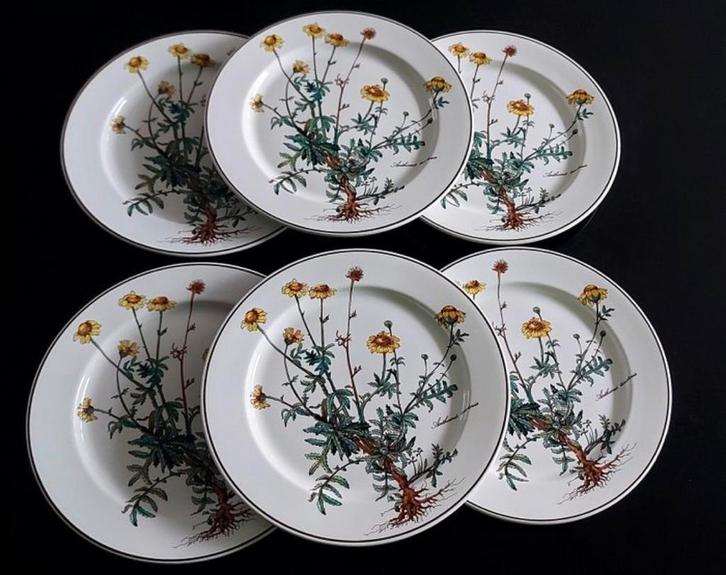 Villeroy & Boch Botanica Bord 24cm, Huis en Inrichting, Keuken | Servies, Gebruikt, Bord(en), Overige stijlen, Porselein, Ophalen of Verzenden