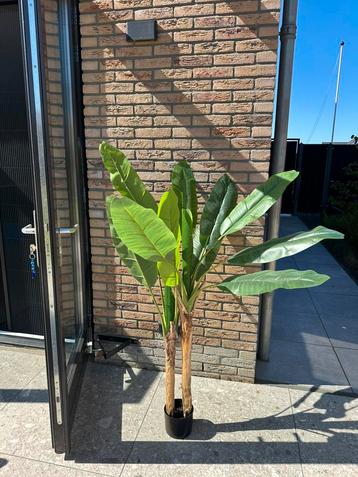 Kunstplant bananenboom beschikbaar voor biedingen