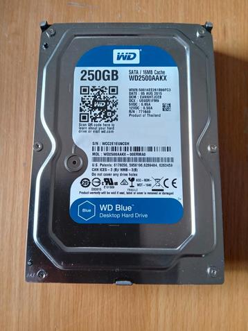 Western Digital WD Blue WD2500AAKX SATA 250 GB  beschikbaar voor biedingen