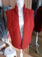 Mooie Bodywarmer, Kleding | Dames, Bodywarmers, Ophalen of Verzenden, Gedragen, Maat 38/40 (M)